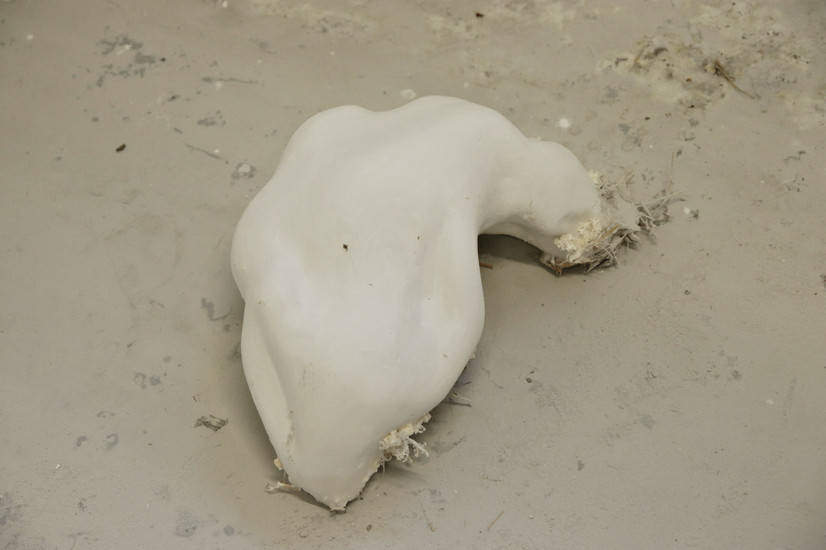Gipskulptur med en abstrakt, organisk from placeret på et spartlet og støvet gulv, med mycelium og sopp voksende rundt sig der skaber en tynd hinde og vækst rundt på skulpturen.