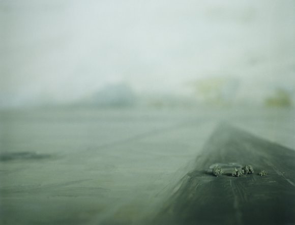 Ut. polaroid2.2019. 90x110 cm. nils olav bøe