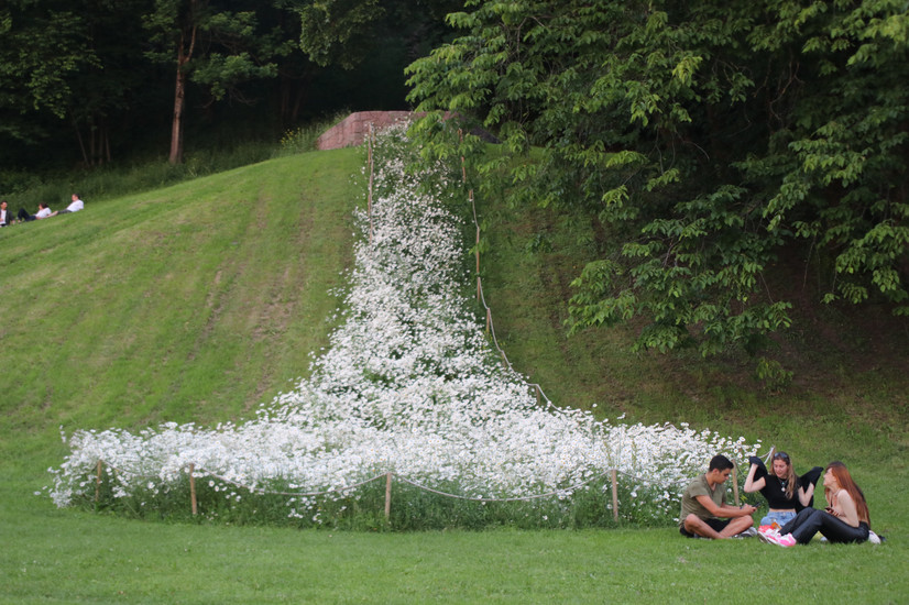 En hvit blomstereng formet som snøen i unnarennet i en hoppbakke. En gruppe ungdommer har piknik på høyre side, foran den.