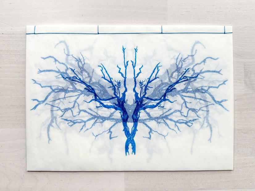 Reflecting on how parasites can provoke mental illness, this publication contains a collection of drawings of fictitious "Anxiety parasites". Illustrating the feeling of walking through a dense forest, the drawings overlap each other, as an allegory to brain fog caused by anxiety.
Page by page: https://vimeo.com/942194927