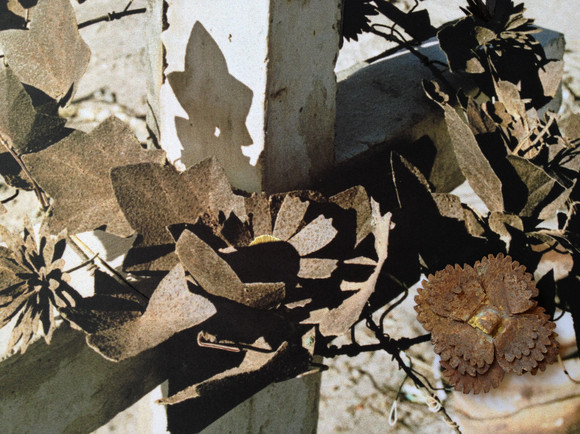 Detalj no. 24 (wreath of fire)