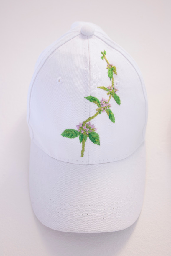 Mentha pulegium 2017